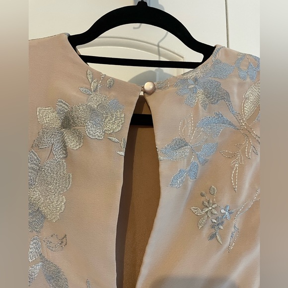 Dress the Population Paige Nude Sheath Dress Silver Embroidery - Picture 7 of 11